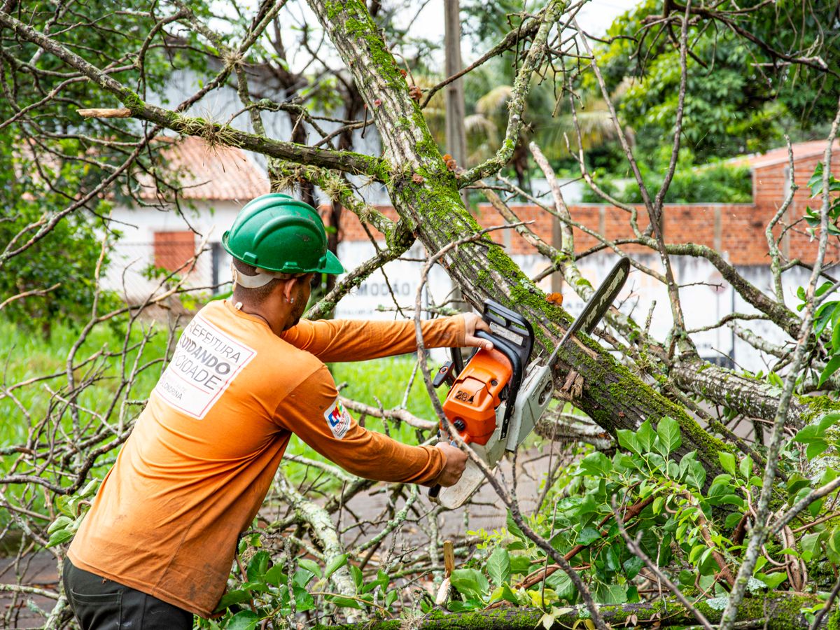 Tree crew member cutting a fallen tree with a chainsaw